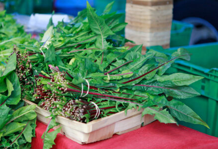 Prepare for Spring by Making Digestive Bitters Image